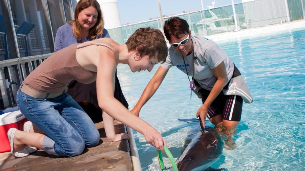 Student kneels next to pool, assisting professor in handling a live dolphin.